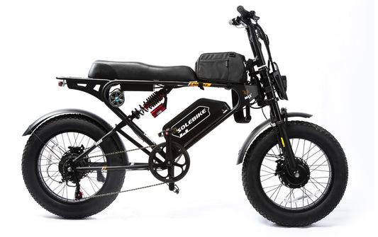 Onkyo- SOLEBIKE  Retro  Style E-bike  SR22  Max