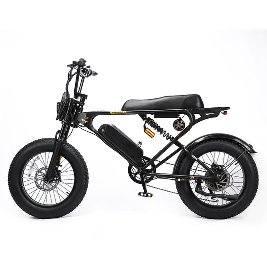 ONKYO Retro  E-bike  SR22