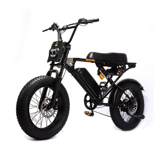 ONKYO Retro  E-bike  SR22
